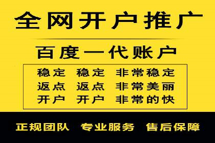 网络营销新篇章：竞价推广案例分析