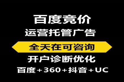 SEM托管公司案例分析：实战技巧全解析